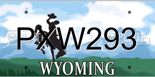 PXW293 Wyoming License Plate