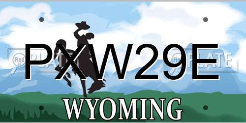 PXW29E Wyoming License Plate