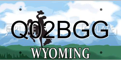 Q02BGG Wyoming License Plate
