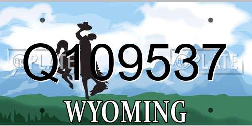 Q109537 Wyoming License Plate