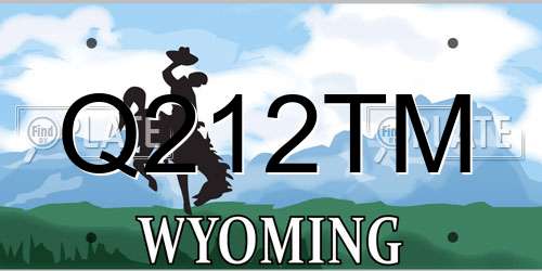 Q212TM Wyoming License Plate
