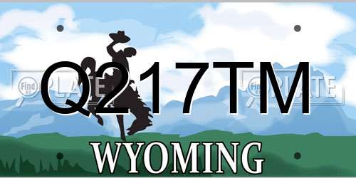 Q217TM Wyoming License Plate