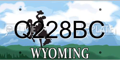 Q228BC Wyoming License Plate