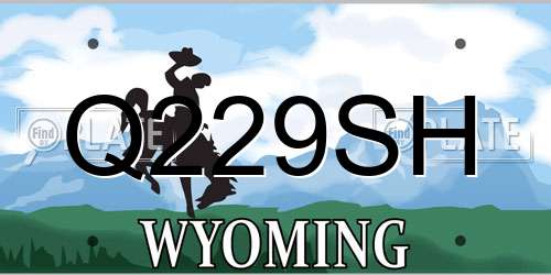 Q229SH Wyoming License Plate