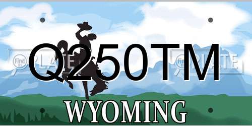 Q250TM Wyoming License Plate