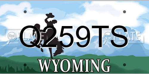 Q259TS Wyoming License Plate
