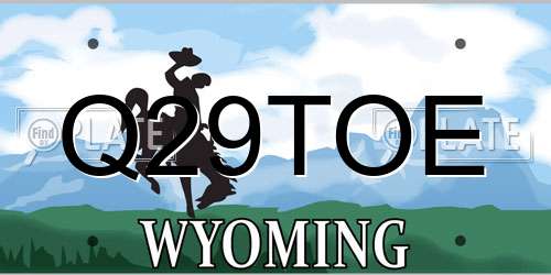 Q29TOE Wyoming License Plate