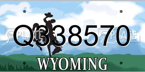 Q338570 Wyoming License Plate