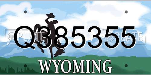 Q385355 Wyoming License Plate