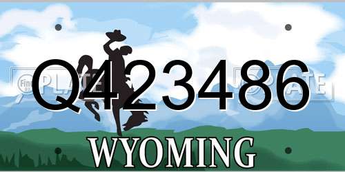 Q423486 Wyoming License Plate