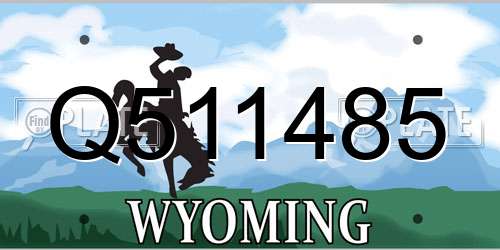 Q511485 Wyoming License Plate