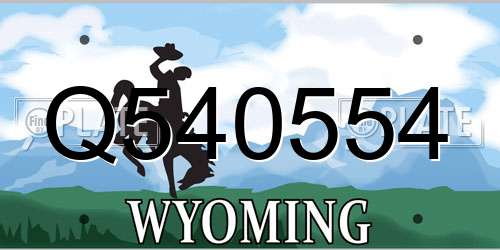 Q540554 Wyoming License Plate