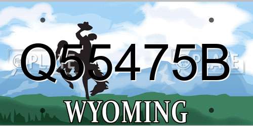 Q55475B Wyoming License Plate
