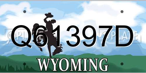 Q61397D Wyoming License Plate