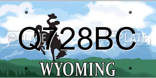 Q728BC Wyoming License Plate