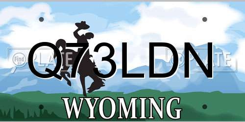 Q73LDN Wyoming License Plate