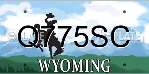 Q775SC Wyoming License Plate