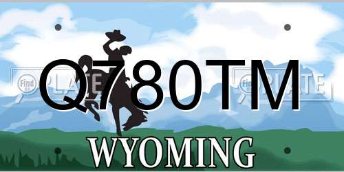 Q780TM Wyoming License Plate