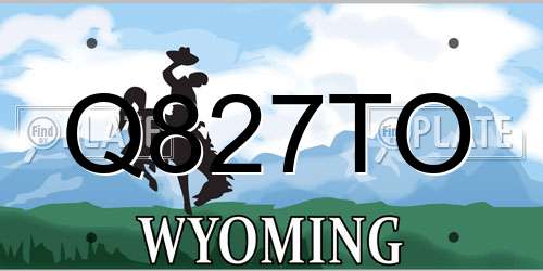 Q827TO Wyoming License Plate