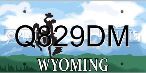 Q829DM Wyoming License Plate