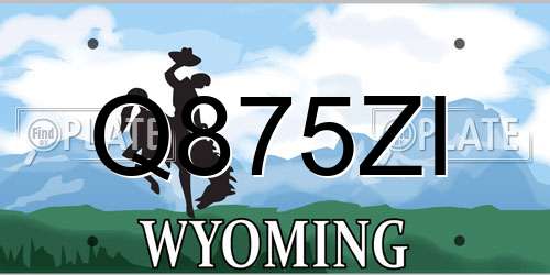 Q875ZI Wyoming License Plate
