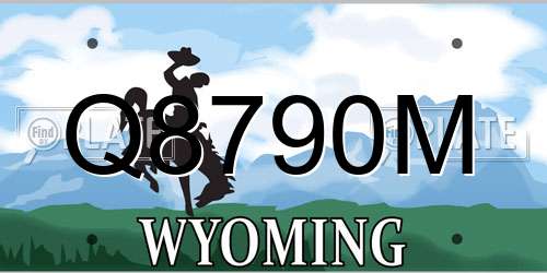Q8790M Wyoming License Plate