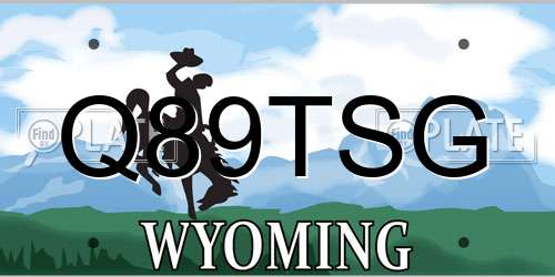 Q89TSG Wyoming License Plate