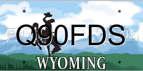 Q90FDS Wyoming License Plate