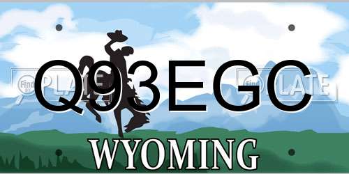 Q93EGC Wyoming License Plate