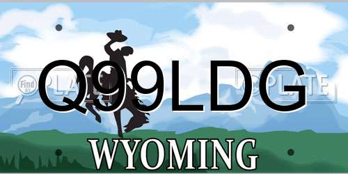 Q99LDG Wyoming License Plate