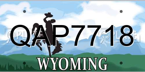 QAP7718 Wyoming License Plate