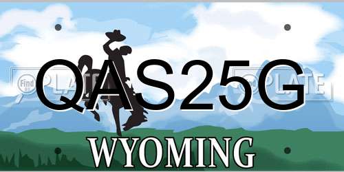 QAS25G Wyoming License Plate