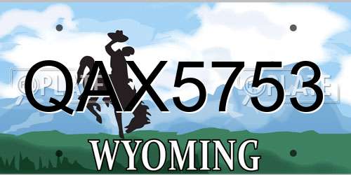 QAX5753 Wyoming License Plate