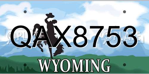 QAX8753 Wyoming License Plate