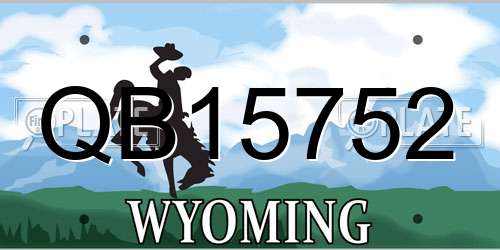 QB15752 Wyoming License Plate