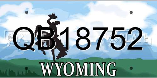 QB18752 Wyoming License Plate