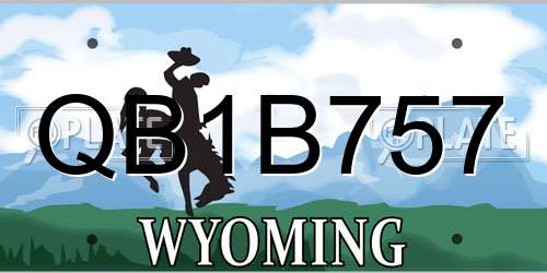 QB1B757 Wyoming License Plate