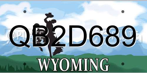 QB2D689 Wyoming License Plate