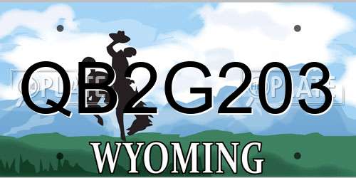 QB2G203 Wyoming License Plate