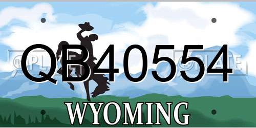 QB40554 Wyoming License Plate