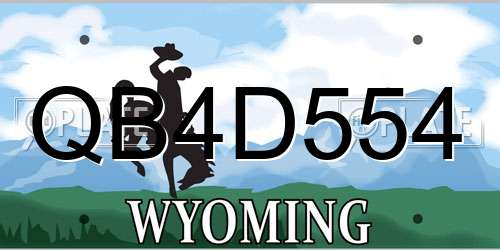 QB4D554 Wyoming License Plate