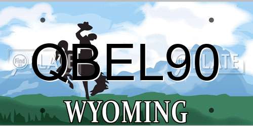 QBEL90 Wyoming License Plate