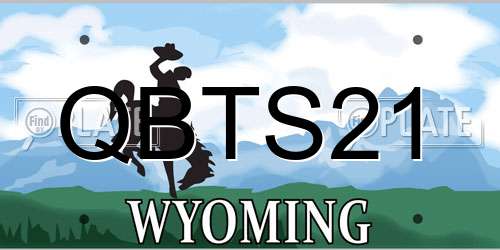 QBTS21 Wyoming License Plate