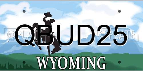 QBUD25 Wyoming License Plate
