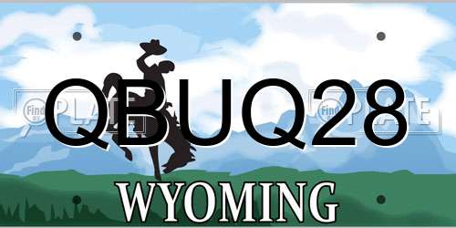 QBUQ28 Wyoming License Plate