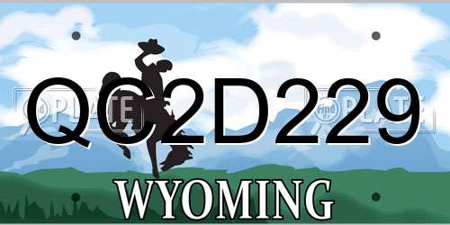 QC2D229 Wyoming License Plate