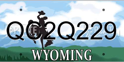 QC2Q229 Wyoming License Plate