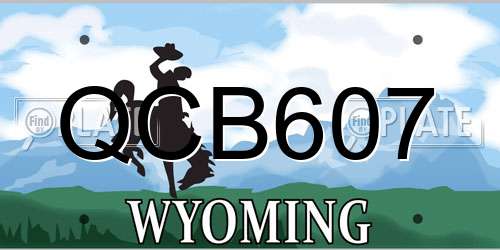 QCB607 Wyoming License Plate