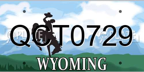 QCT0729 Wyoming License Plate