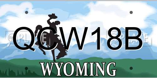 QCW18B Wyoming License Plate